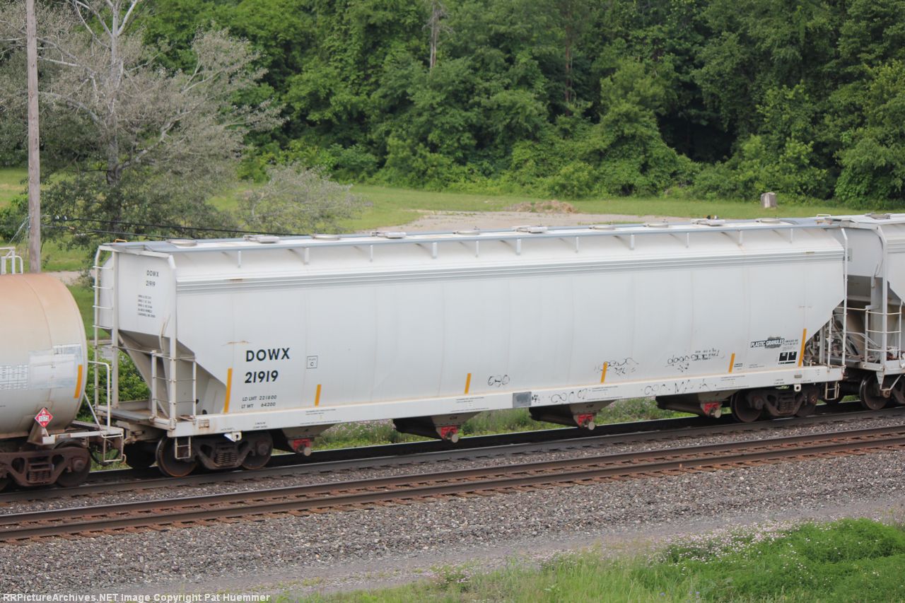 DOWX 21919