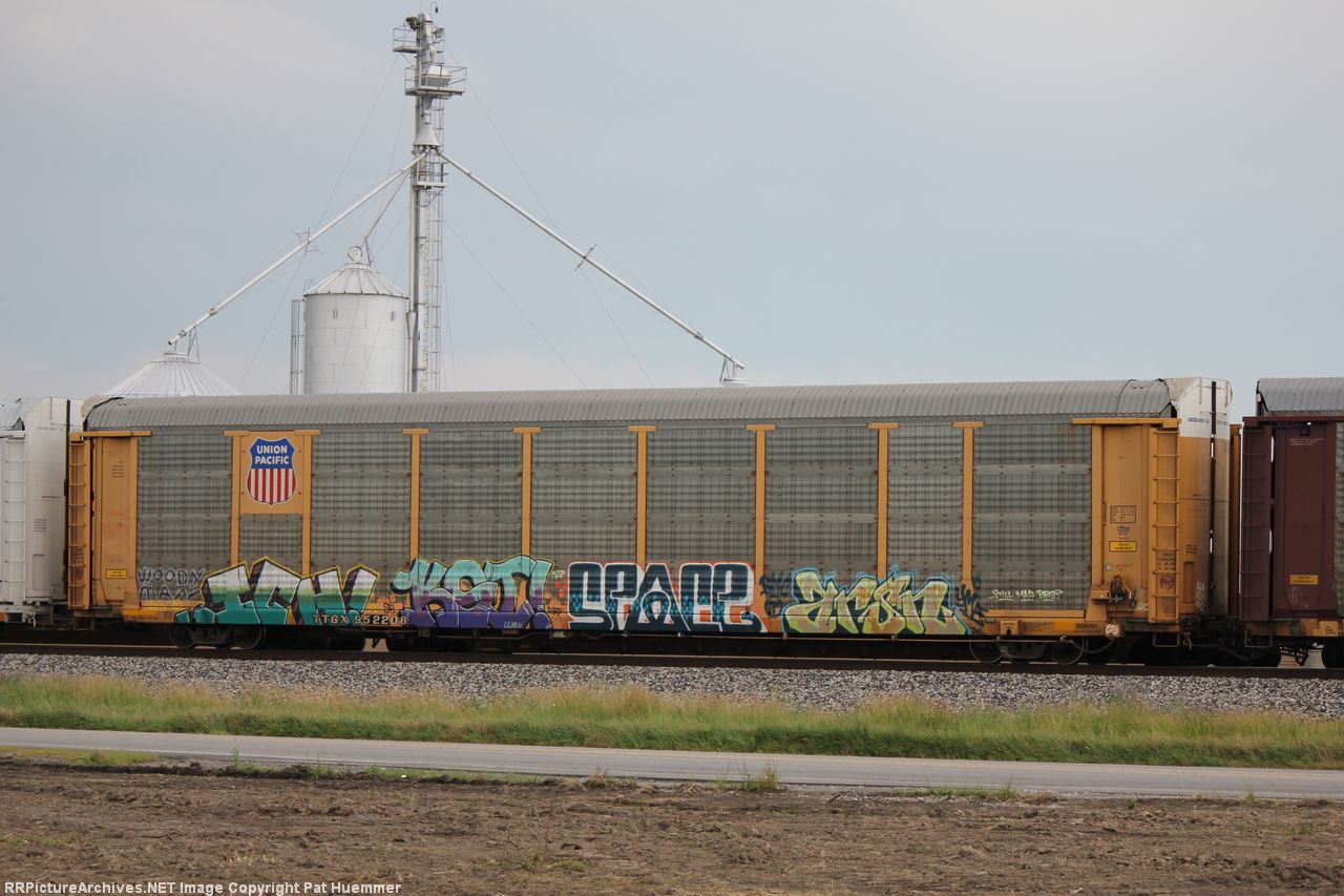 TTGX 952208