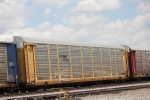 TTGX 985444