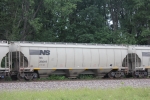 NS 294819
