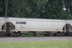 NS 295043