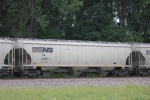 NS 295971