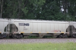 NS 295052