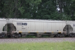 NS 294887