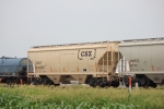 CSX 243397