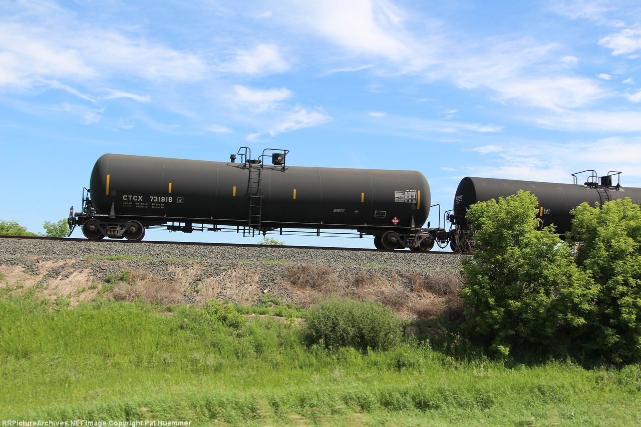 CTCX 731916
