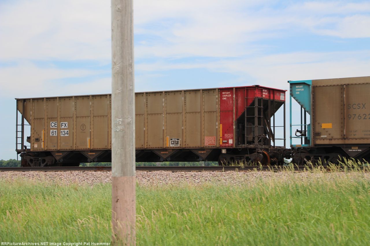 CEFX 61134
