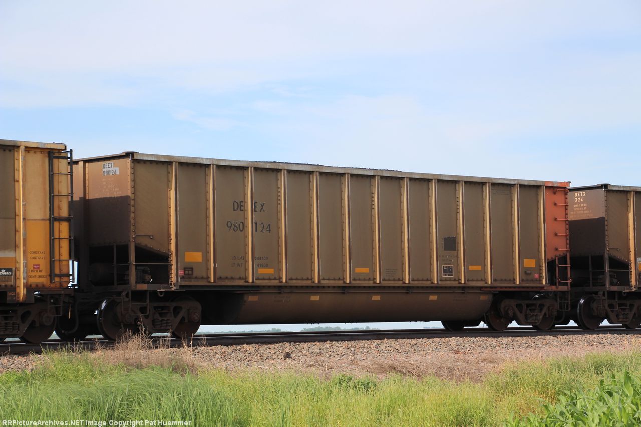 DEEX 980124