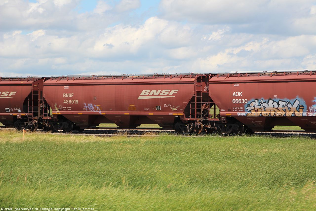 BNSF 486019