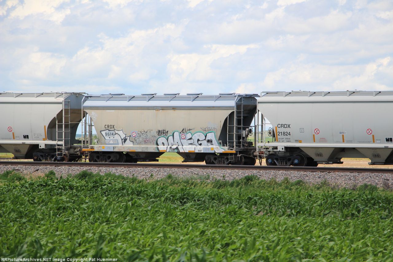 CRDX 9614