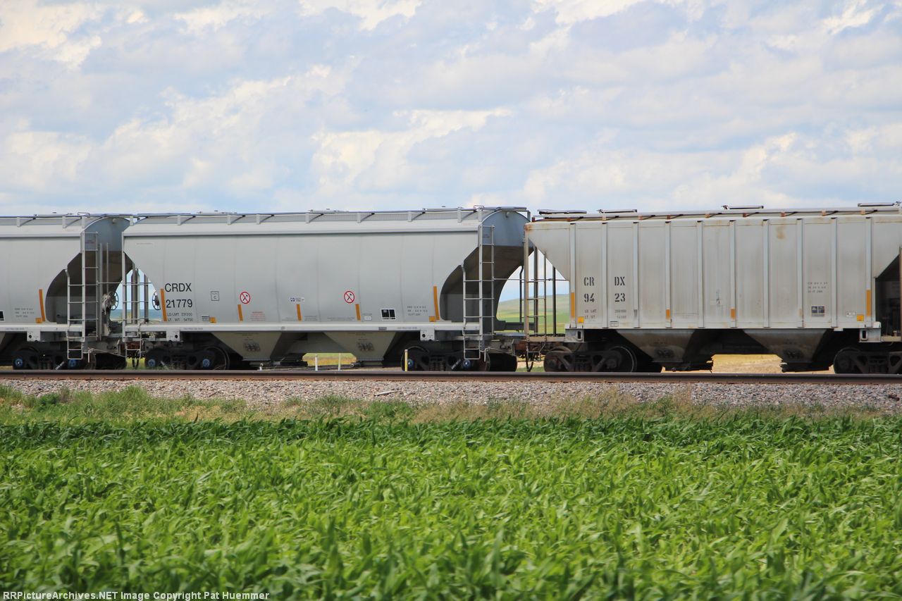 CRDX 21779