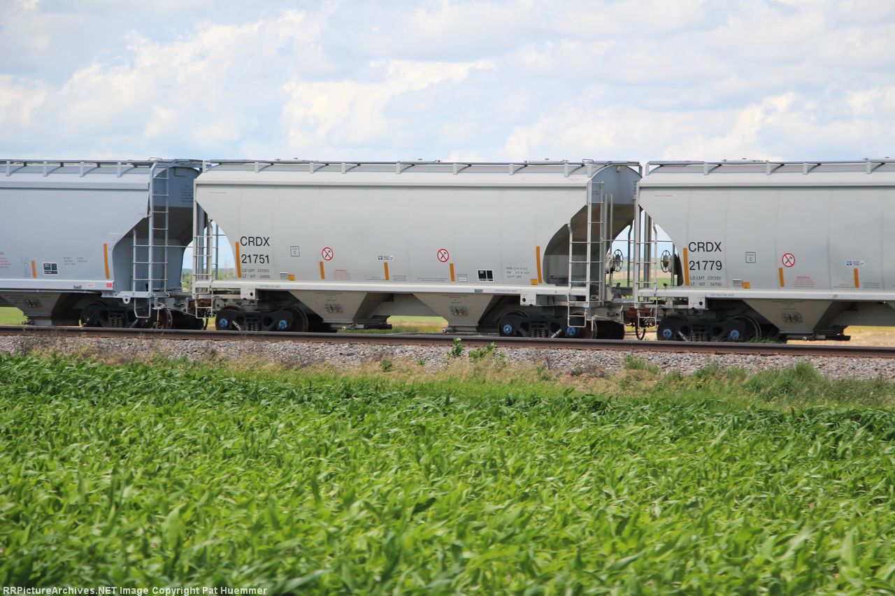 CRDX 21751