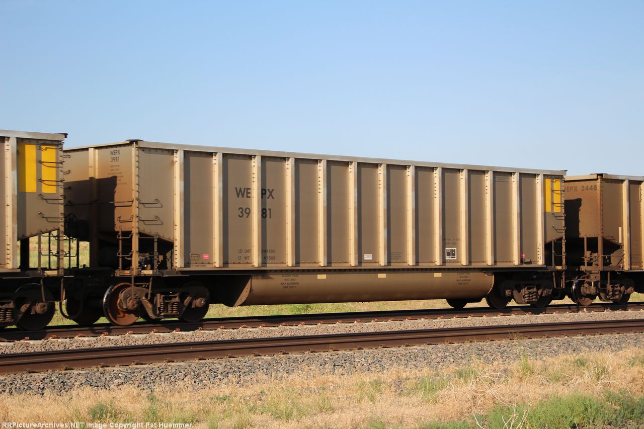WEPX 3981