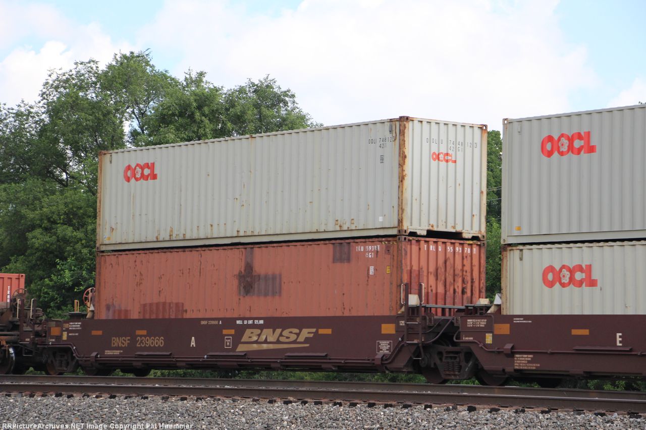 BNSF 239666