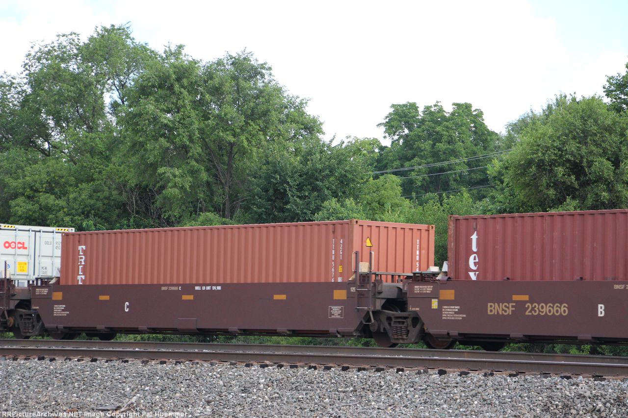BNSF 239666