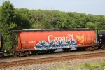 CP 608128