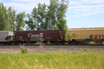 CP 606943