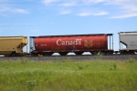 CP 606764