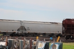CEFX 637005