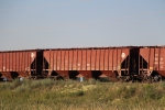 BNSF 469206