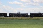 DBUX 303242