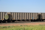 TXUX 83303