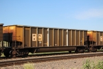 NPPX 91517