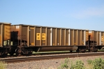 NPPX 91801