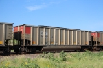 NDYX 964924