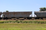 CTRN 100852