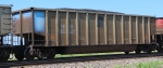 CITX 501198