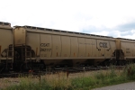 CSX 262117