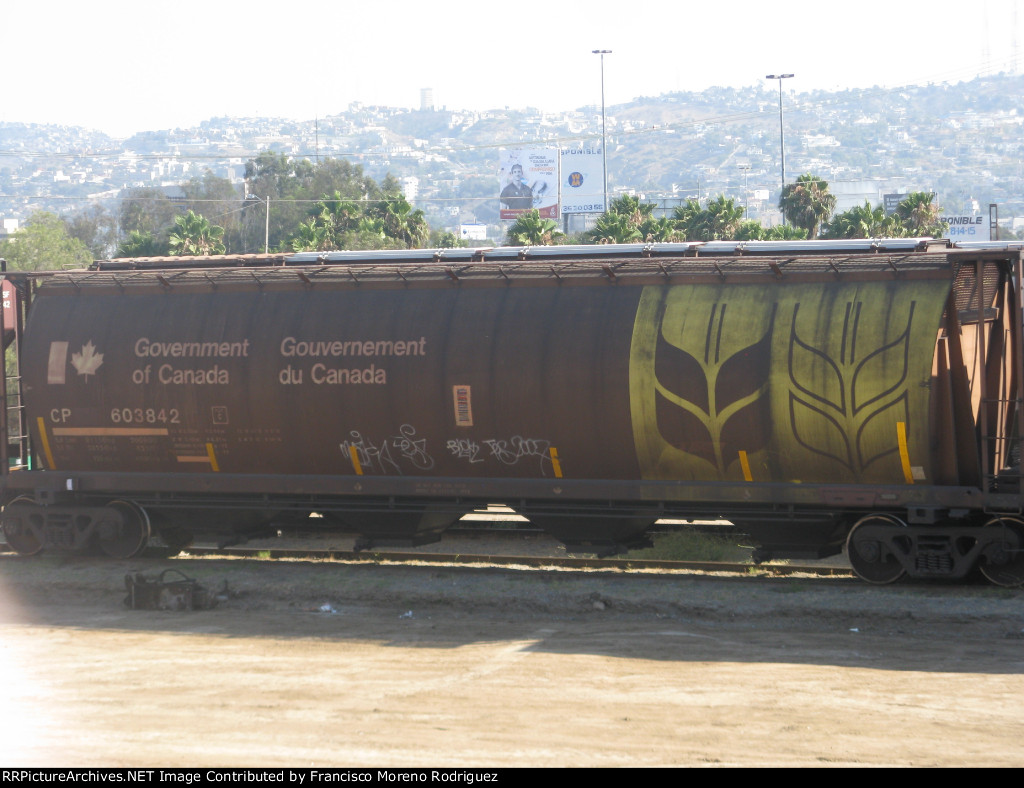 CP 603842 Covered Hopper in Tijuana 