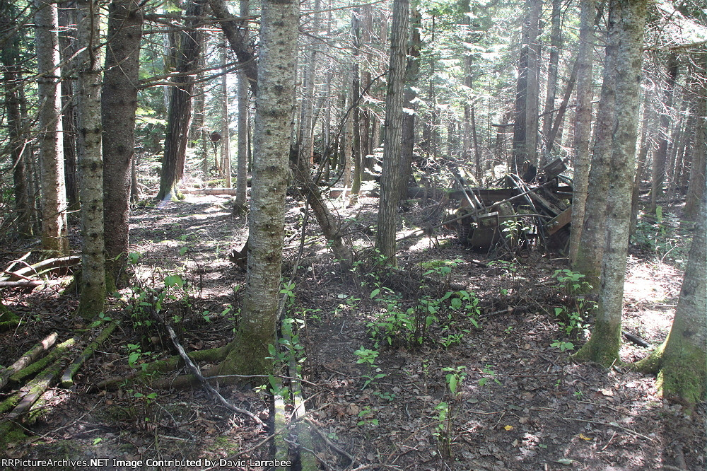 Northeasterly Y switch