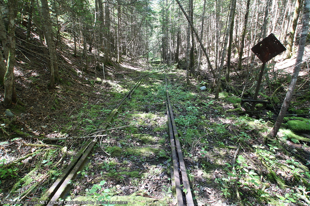 In the 'big cut' on the EL & WB