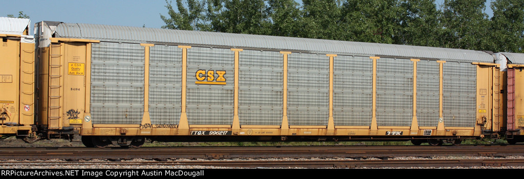TTGX 996217