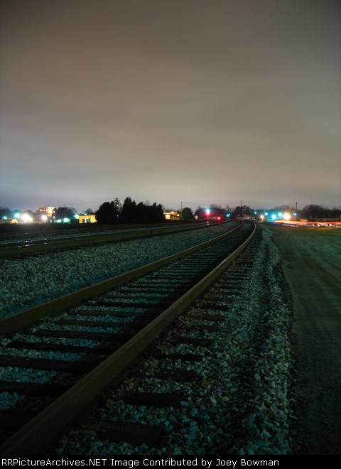 Outside of Yard, east side of Hickory