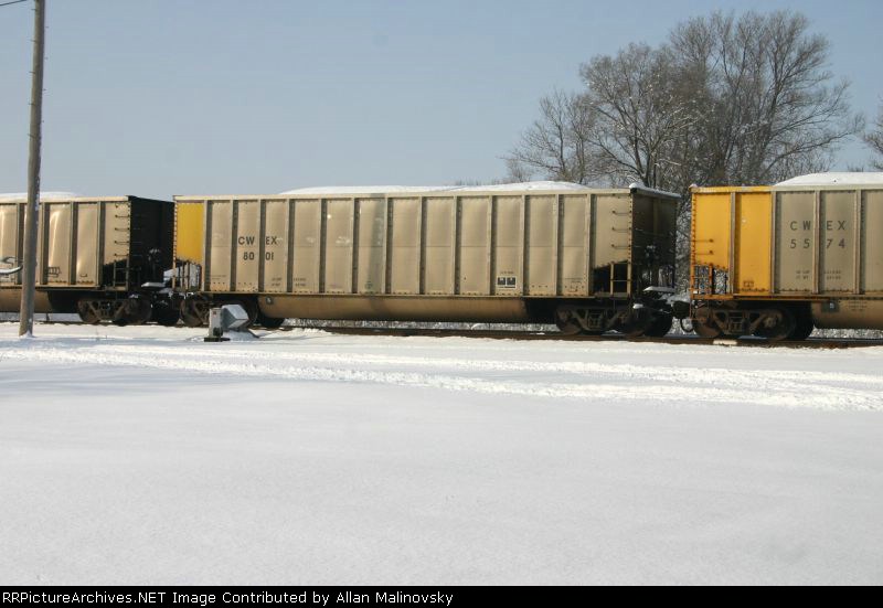 CWEX 8001