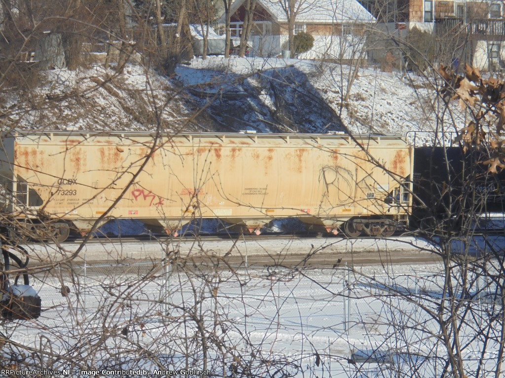 CCBX 73293