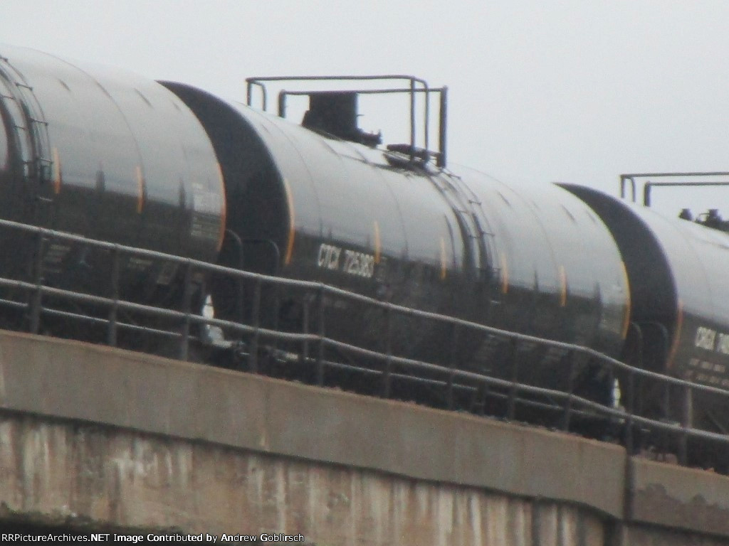 CTCX 725383 2