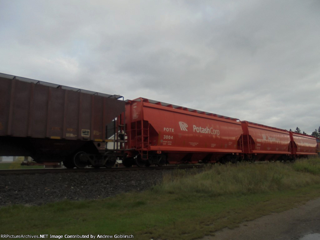 POTX 3004
