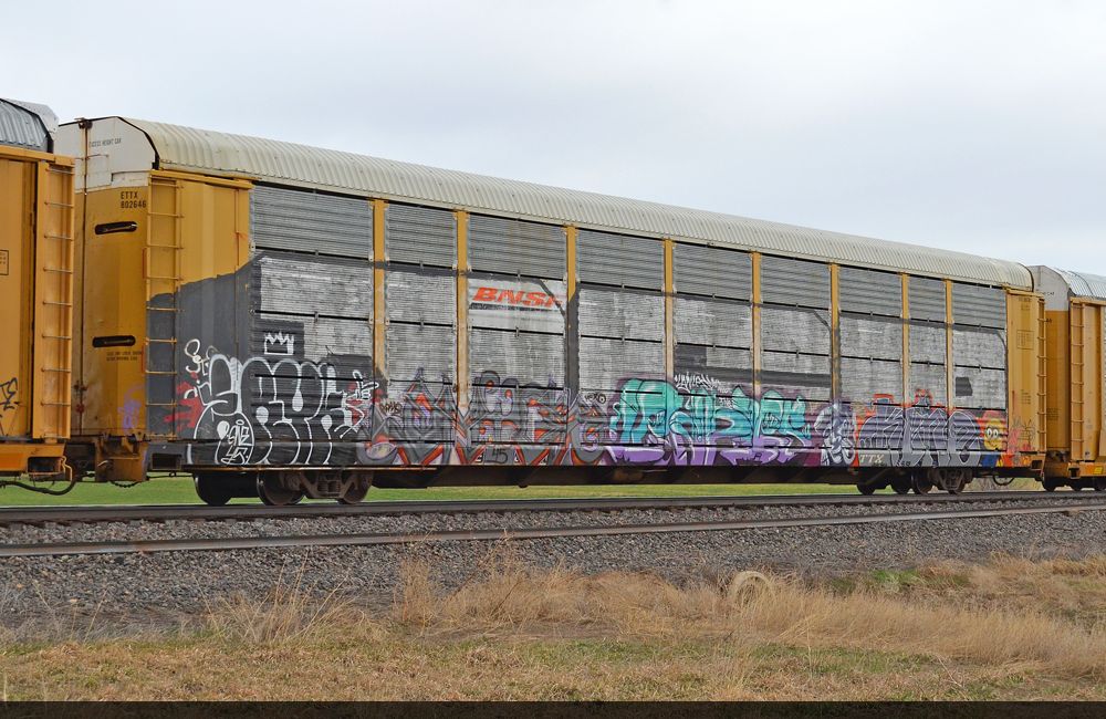 ETTX 802646