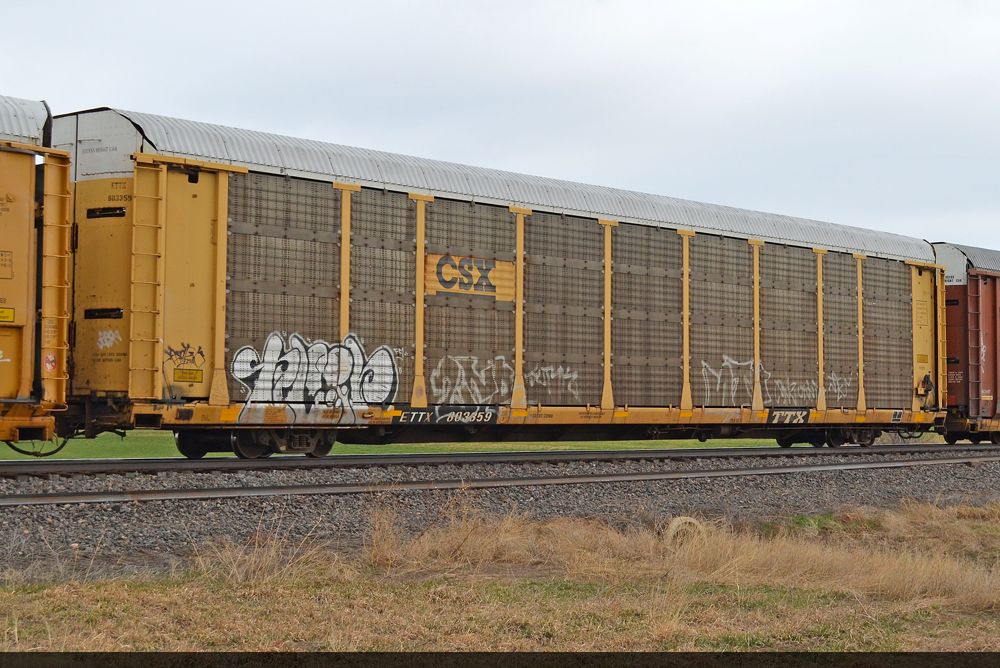 ETTX 803359