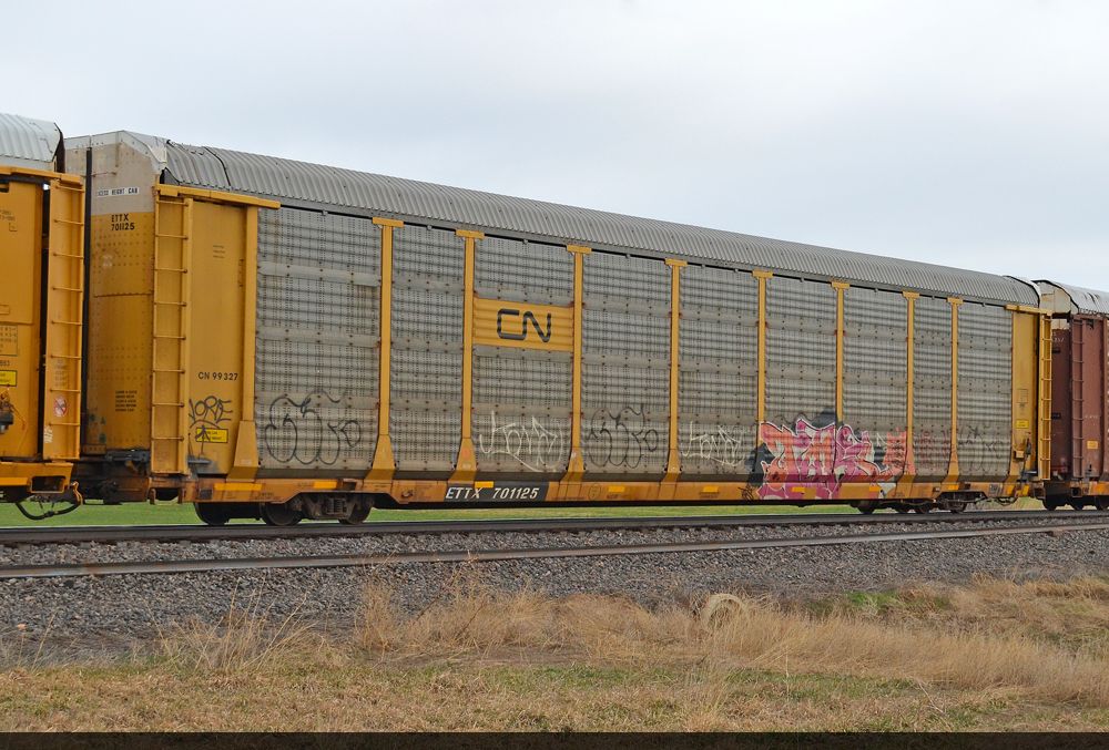 ETTX 701125