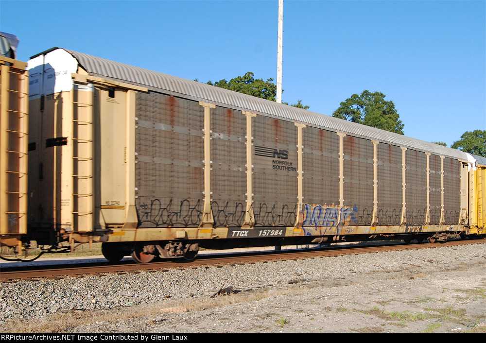 TTGX 157984