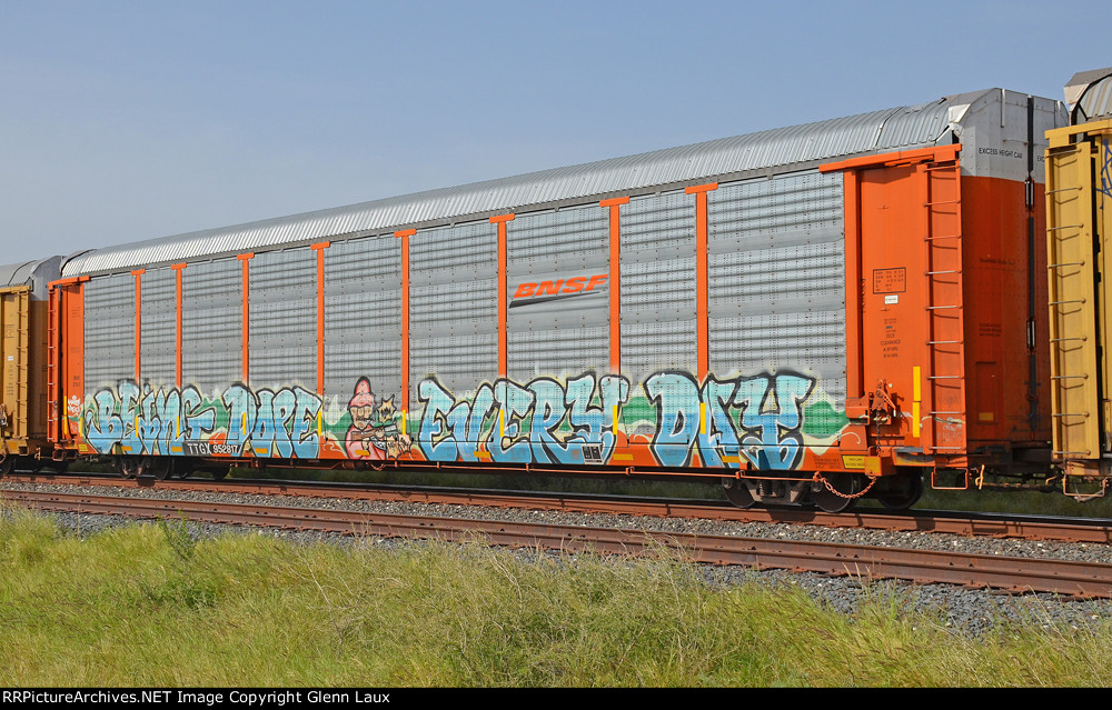 TTGX 952817