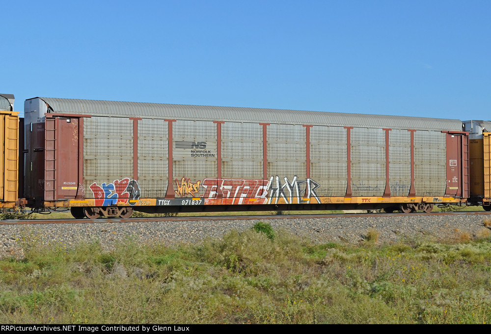 TTGX 971837