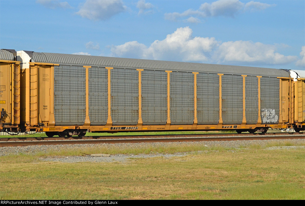 TTGX 853981