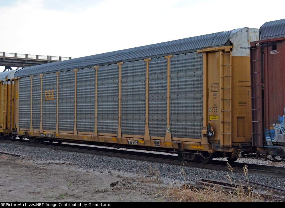 TTGX 988175
