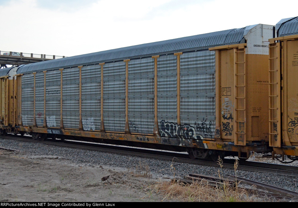 TTGX 993071
